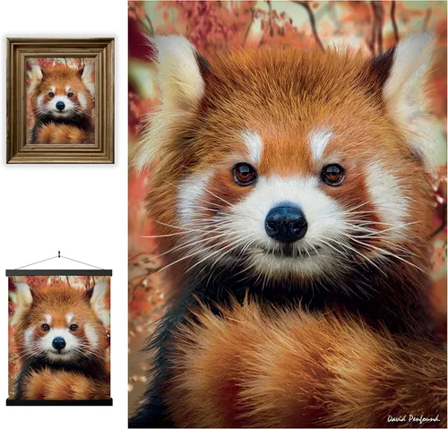 Miniatura 26 de Impresiones de arte de pared lenticular 3D LiveLife - El amor de un padre de Deluxebase. Póster 3D de león sin marco. Decoración de pared perfecta.