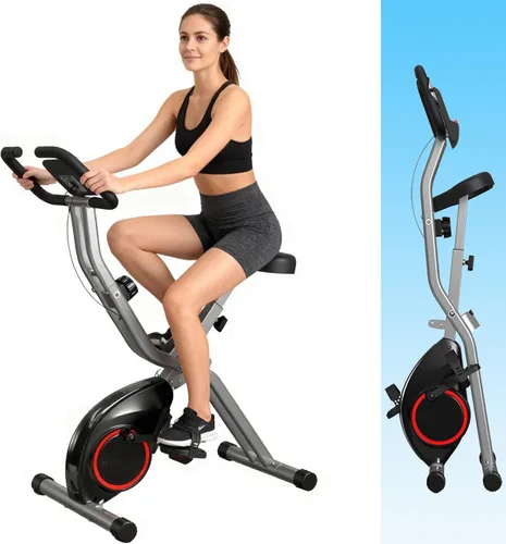 Foldable Exercise Bike for Small Apartments, Stationary Bikes for Home, Indoor Portable Cycling Bike with 16-Level Magnetic Resistance, 260LBS Gris