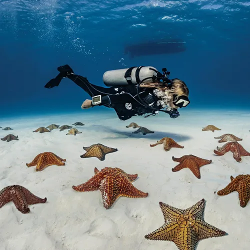 Miniatura 3 de SCUBAPRO Seawing Nova Aletas de Buceo