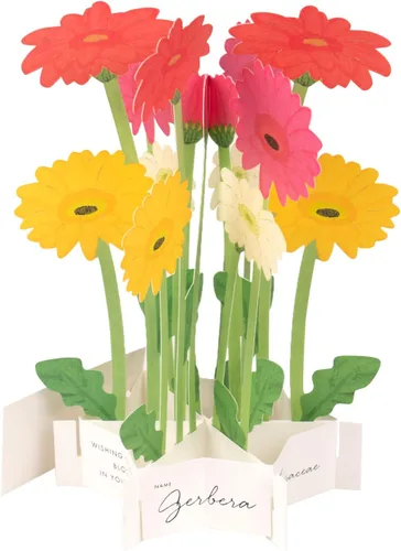 Miniatura 9 de GreetingLife KE-33 - Tarjeta de felicitación de cumpleaños