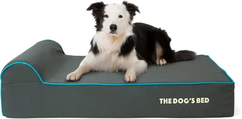 Miniatura 46 de The Dog's Bed - Cama Ortopédica para Perros con Reposacabezas XL Negra de Felpa, Espuma Viscoelástica, Alivio del Dolor para Artritis, Displasia