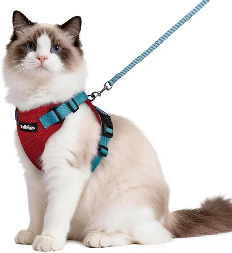 Miniatura 80 de rabbitgoo Juego de arnés y correa para gatos, arnés a prueba de escapes para paseos seguros al aire libre, chaleco suave transpirable ajustable