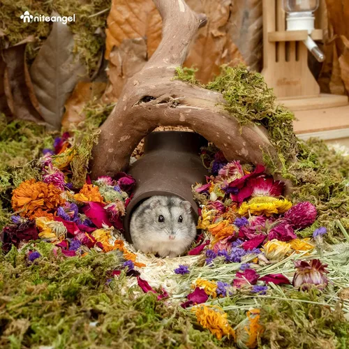 Miniatura 5 de Niteangel Decoración Natural de Hábitat de Cama de Flores y Hierbas - para Hámsters, Jerbos, Ratones, Lemmings, Degus u Otras Mascotas Pequeñas