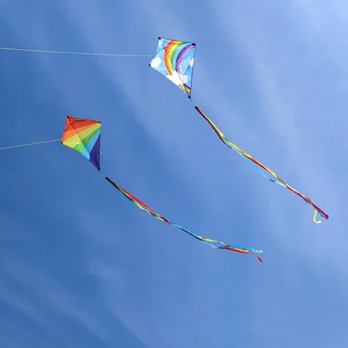 Miniatura 3 de Diamond Kites for Kids Adults Easy to Fly, Beginner Kite for Toddlers Ages 3-5, Kids Kite Pack for Boys and Girls,Beach Kites for Outdoor Activities