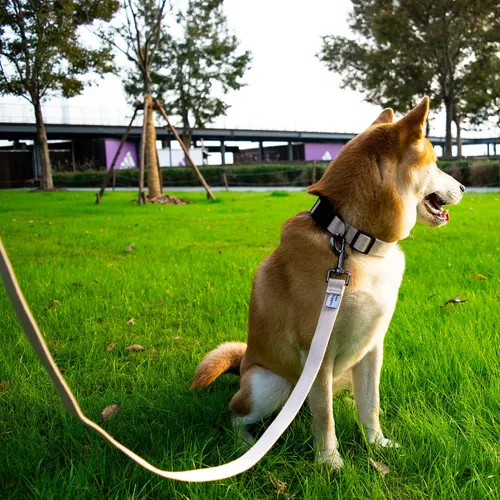 Miniatura 5 de Collar de perro beige para perros pequeños, transpirable, antiolor y suave, cómodo para cachorros de piel sensible, 90% rayón de bambú, collar