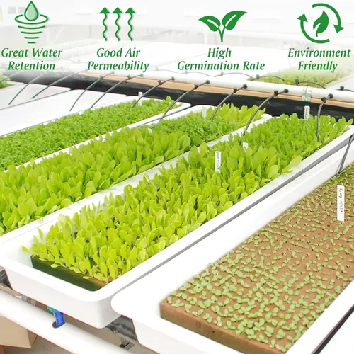 Miniatura 4 de Halatool Cubos hidropónicos de lana de roca de 1.2 pulgadas para cultivo hidropónico sin suelo, plántulas, inicio, esquejes, clones y propagación