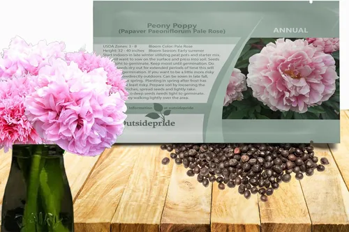 Miniatura 9 de Outsidepride Semillas de amapola de doble mezcla de peonía para plantar, 10,000 piezas anuales, tolerantes a la sequía y fáciles de cultivar