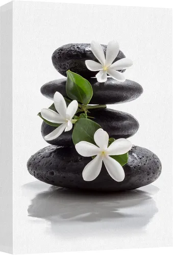 Miniatura 23 de Wall26 - Arte de pared estampado en lienzo con diseño de rocas negras en un lago tropical verde sereno, naturaleza floral, fotografía, realismo