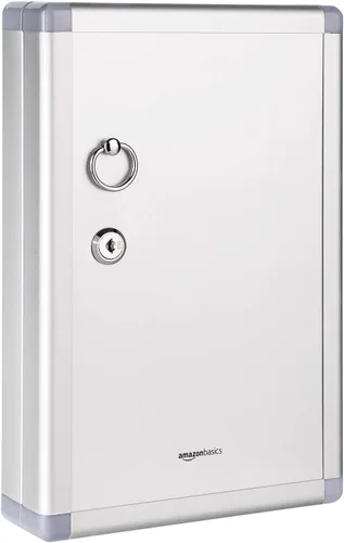 Amazon Basics Caja de llaves para gabinete de 24 posiciones, plateado, 12.5"D x 8.5"W x 2.45"H | Posición de 24 teclas
