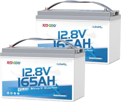 Miniatura 22 de Redodo Paquete de 4 baterías LiFePO4 de 12 V 100 Ah, baterías de ciclo profundo con BMS de 100 A, baterías del grupo 31 para 10 años de vida útil