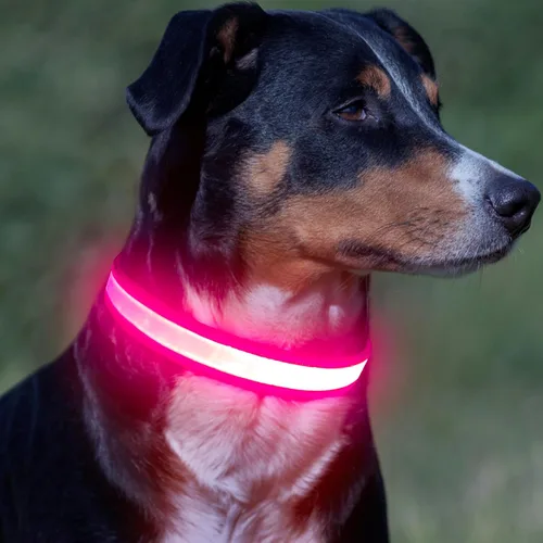Miniatura 7 de Vizpet Collar para perro con luz LED, ajustable, recargable por USB, superbrillante, luz de seguridad brillante para perros (XL, rosa)