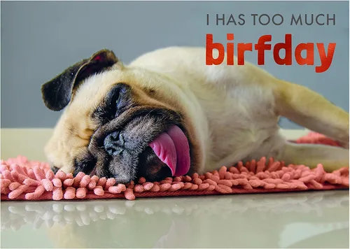 Miniatura 3 de NIQUEA.D, Tarjeta de cumpleaños de Pug on Rug Pug en alfombra