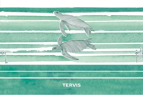 Miniatura 2 de Tervis Traveler Guy Harvey Freeswim Turtle - Vaso aislado de triple pared para viaje mantiene las bebidas frías y calientes, 20 onzas, acero Acero