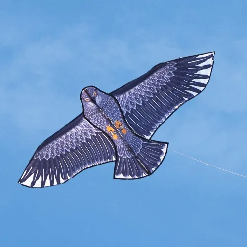 Miniatura 4 de Besra Cometa de pájaro fénix con cola larga, para deportes al aire libre, para playa y parque Águila de 74 pulgadas