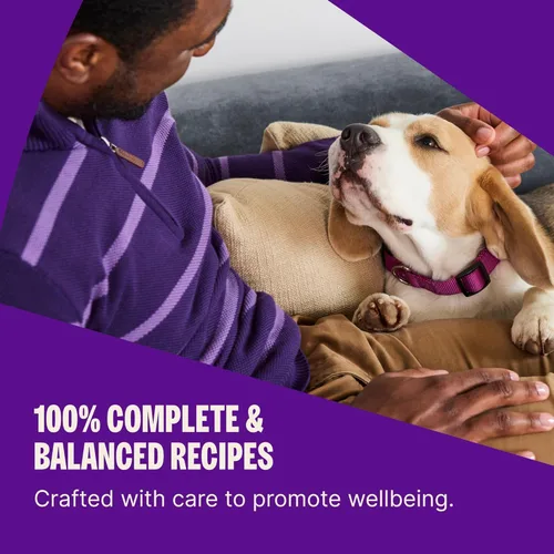 Miniatura 4 de Wellness Complete Health - Alimento seco para perros, sin granos, natural, receta de cordero, (bolsa de 24 libras)