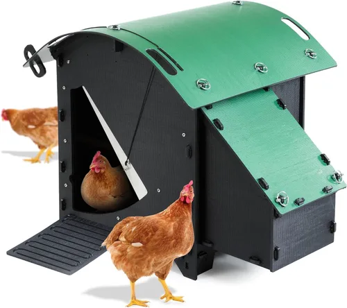 Miniatura 9 de Gallinero de plástico de 25 años de vida útil, gallinero pequeño para 3 pollos o 5 bantams Adecuado para gallinas grandes e ideal para pollos