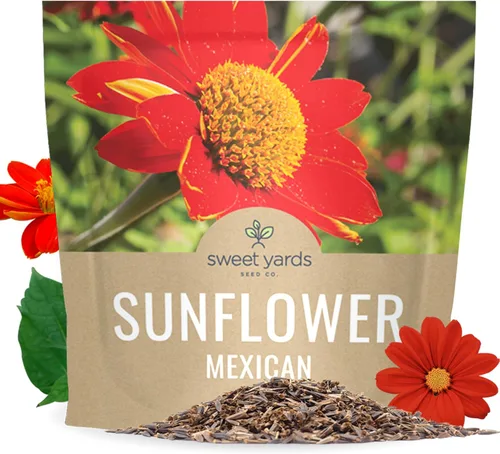 Semillas de girasol mexicano - Paquete extra grande - Más de 2,500 semillas de flores silvestres polinizadas abiertas sin OMG - Tithonia rotundifolia