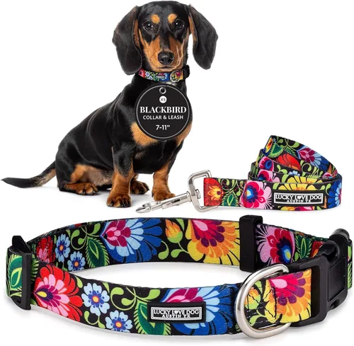 Miniatura 58 de Lucky Love Dog - Collar para perras pequeñas, diseño Blackbird de estampado alegre con flores de primavera y verano, talla XS