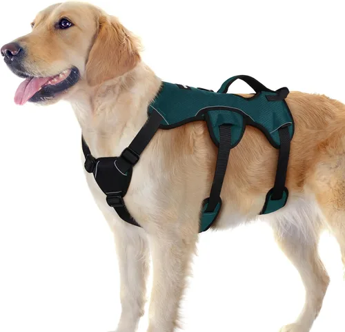 Miniatura 58 de rabbitgoo - Arnés para perro a prueba de fugas, arnés para mascotas acolchado suave de cuerpo completo, chaleco reflectante ajustable sin tirones