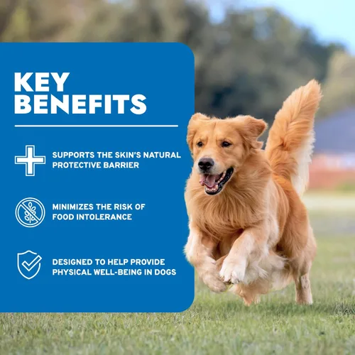 Miniatura 3 de Forza10 - Alimento para perros, alimento húmedo formulado por veterinarios para alergias, apoyo de la piel y el pelaje, sin OMG, sabor a cordero