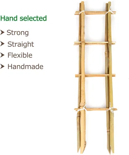 Miniatura 2 de Cambaverd Enrejado de bambú, enrejado en forma de escalera de 16 pulgadas para plantas en maceta, paquete de 3 para plantas trepadoras