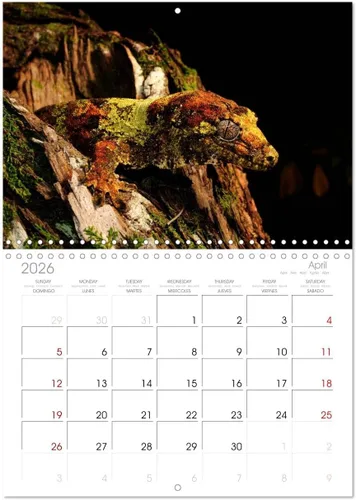 Miniatura 8 de REPTILES (calendario mensual de pared 2022 11.7 x 16.3 in (abierto)