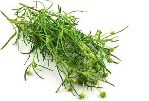 Miniatura 6 de Semillas de psyllium enteras orgánicas, 8 onzas, sin OMG, veganas, kosher, aptas para dieta cetogénica, crudas, a granel, ricas en hierro, espesante