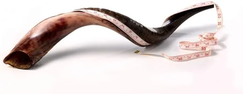 Miniatura 3 de Auténtico shofar de cuerno kudu yemenita – Instrumento bíblico espiritual para adoración judía y cristiana, oración y festivales – Incluye spray
