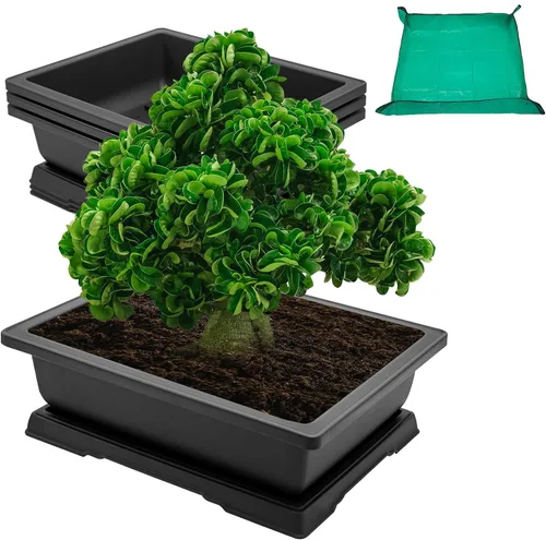 Miniatura 7 de GROWNEER 3 Macetas para Bonsái de 6.5 Pulgadas con Bandejas de Drenaje y Humedad y 1 Alfombrilla de Trasplante, Maceta de Entrenamiento para Árbol