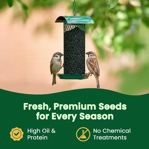 Miniatura 6 de Happy Wings Semillas de Girasol de Aceite Negro – Alimento para Aves Silvestres de 5 libras para Cardenales, Pinzones y Carboneros – Alimento