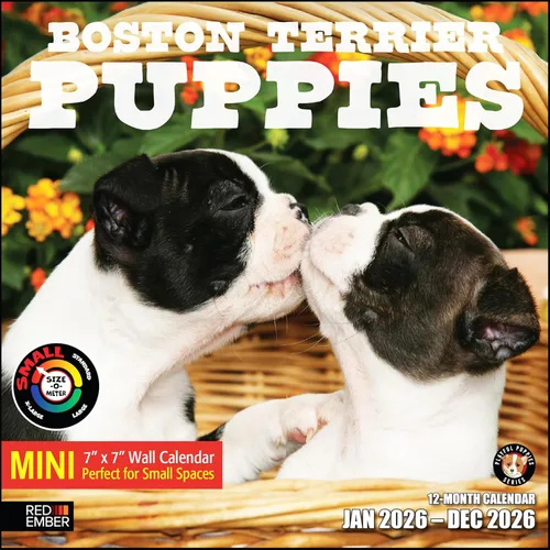 Miniatura 22 de RED EMBER Calendario de pared 2025 con diseño de cachorros de 12 meses, 12 x 24 pulgadas, abierto, papel grueso y resistente, para regalo