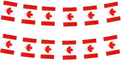 Miniatura 37 de Bandera de Francia Pequeña Mini Bandera Francesa Banner Decoraciones para Desfiles, Fiestas, Aulas, Jardines y Festivales (Francia)