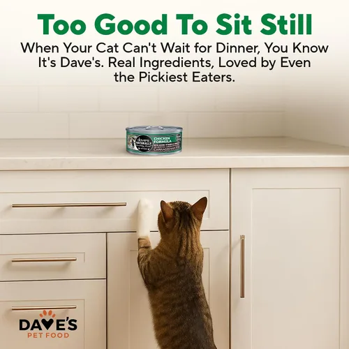 Miniatura 6 de Dave's Pet Food Alimento húmedo para gatos sin granos (fórmula de pollo), hecho en Estados Unidos, naturalmente saludable, alimentos enlatados