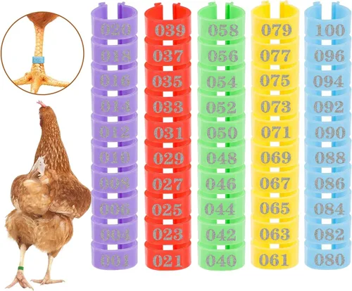 Miniatura 8 de MEWTOGO 100 bandas de pierna de palomas de pájaro de 0.3 pulgadas, coloridos anillos de identificación de pájaros numerados legibles, bandas