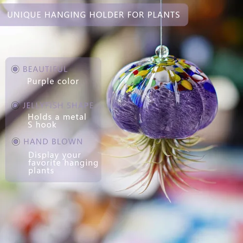 Miniatura 5 de H&D HYALINE & DORA Terrario de cristal soplado a mano colgante con diseño de medusa de aire para plantas de aire, decoración para jardín, porche