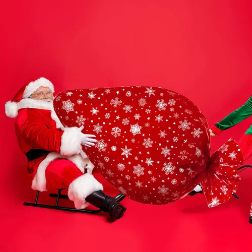 Miniatura 5 de Teling Bolsa de almacenamiento para árbol de Navidad de 9 pies, bolsa de extracción y eliminación de árboles de Navidad jumbo