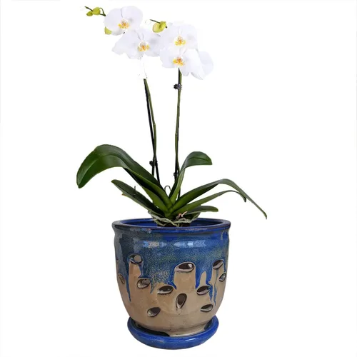 Macetas grandes de cerámica para orquídeas con agujeros, maceta con platillo para plantas de interior, decoración del hogar, maceta redonda (azul +