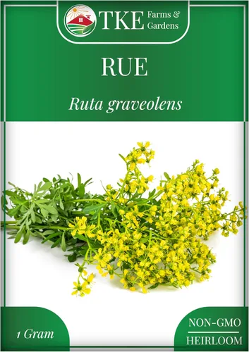 TKE Farms & Gardens - Semillas de ruda para plantar, 1 gramo, 500 semillas autóctonas, sin transgénicos, instrucciones incluidas, Ruta graveolens,