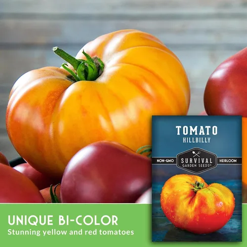 Miniatura 5 de Survival Garden Seeds - Semilla de tomate Hillbilly para plantar - 2 paquetes con instrucciones para plantar y cultivar tomates de hoja de papa