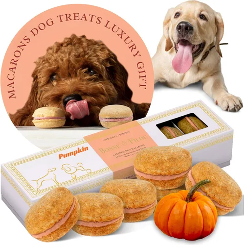Miniatura 26 de Bonne et Filou Golosinas para perros, pasteles de mantequilla de maní, regalo de cumpleaños para perros de raza mediana a grande – Pasteles