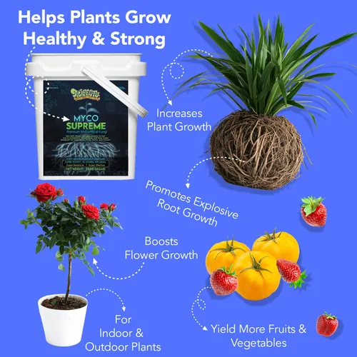 Miniatura 2 de Micorriza para el suelo, estimulador de raíces para plantas, micorrizas ultra concentradas para raíces fuertes de las plantas y suelo vivo, Trifecta