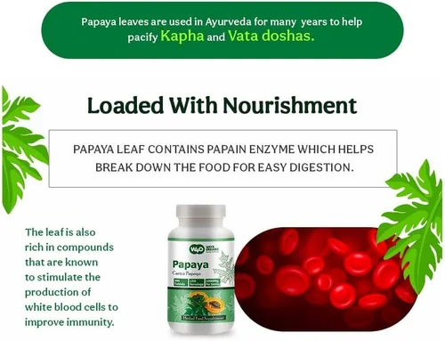 Miniatura 8 de Cápsulas de extracto de hoja de papaya (tabletas) - 300 píldoras, 150 porciones, 1000 mg, apoya la inmunidad plaquetaria y la digestión