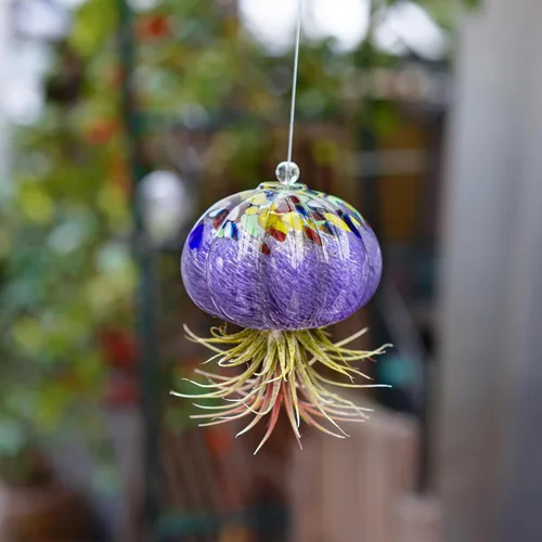 Miniatura 7 de H&D HYALINE & DORA Terrario de cristal soplado a mano colgante con diseño de medusa de aire para plantas de aire, decoración para jardín, porche