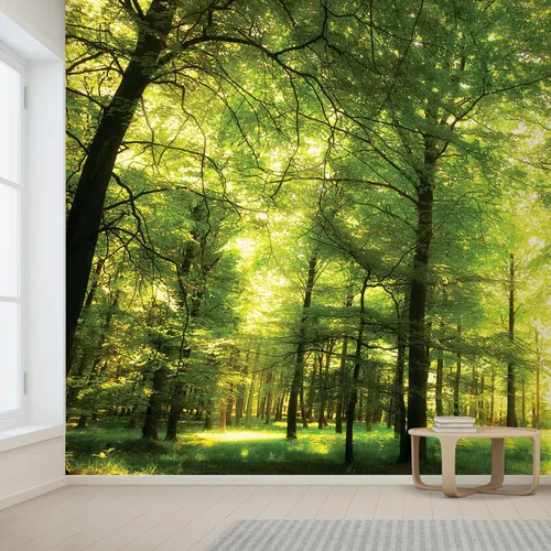 Miniatura 2 de wall26 - Mural de Bosque Denso - Mural de pared, calcomanía removible, decoración del hogar - 66x96 pulgadas Crowded Forest