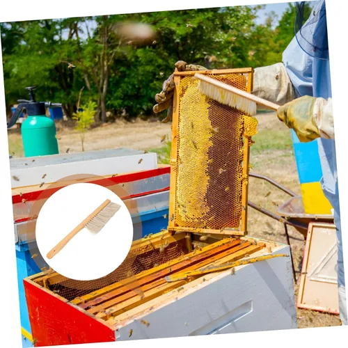 Miniatura 6 de SUPVOX Cepillo de abeja resistente con mango de madera para apicultores para mantenimiento de colmenas
