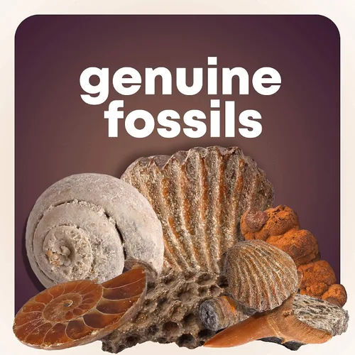 Miniatura 6 de Mega Rock, Fossil & Mineral Collection - Kit de actividades relacionadas con rocas, minerales y fósiles Incluye más de 250 ejemplares reales