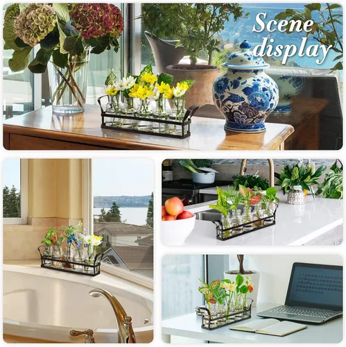 Miniatura 5 de Estaciones de propagación para decoración de interiores, terrario con soporte, maceta de propagación de vidrio con 5 plantas de aire, terrario