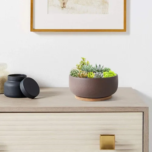 Miniatura 6 de SQOWL Maceta de terracota para bonsái y suculenta de 8 pulgadas, maceta de cerámica redonda para cactus, maceta de arcilla con agujero de drenaje