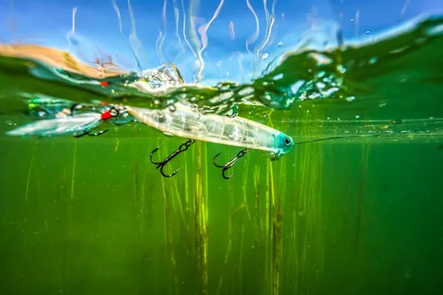 Miniatura 14 de Berkley - Señuelo de pesca Choppo para superficie del agua, de 4.72 in, hélice mejorada para máxima perturbación de la superficie, equipado