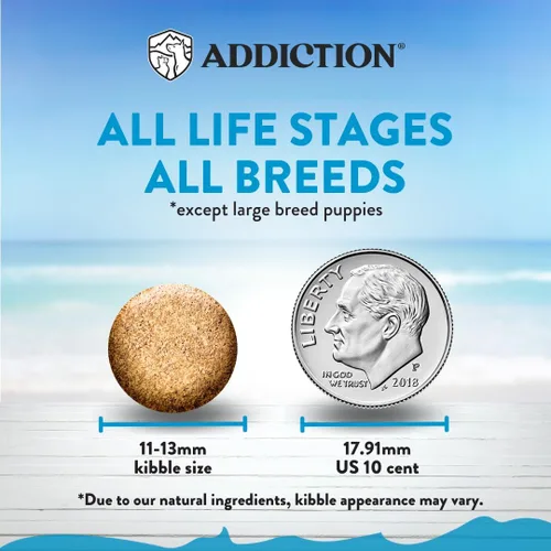 Miniatura 3 de Addiction Salmon Bleu - Alimento seco para perros sin granos, rico en prebióticos para apoyar la piel, el pelaje y la salud cognitiva, receta